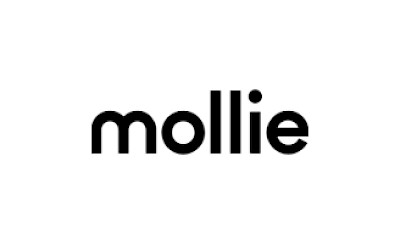 Mollie - Maak online betalingen makkelijker